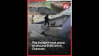 Two dead, five injured in South Korean bridge collapse