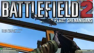 Dalian Plant Shenanigans