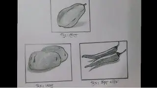 SSC Home science practical-2025 (part -03) step by step drawing tutorial...