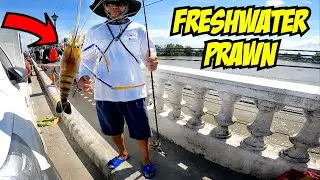 ULANG HUNT 2 - Pampanga River, Fishing sa Tulay pagkatapos ng Baha! | PAMPANGA | EP26YR1