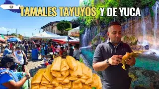 INCRE&Iacute;BLE TOUR GASTRONOMICO Y DE NATURALEZA EN RUTA DE LAS FLORES / no conoc&iacute;a estos tamales 😱