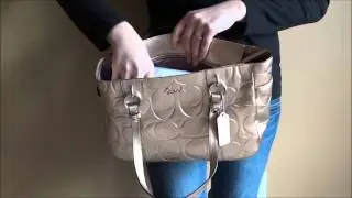 Bronze Coach Purse