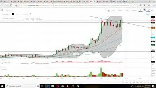 Portfolio Idea - FUTURE CONSUMER