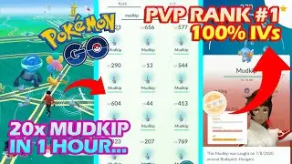 MUDKIP NEST POK&Eacute;MON GO [POK&Eacute;MON GO NEST 2020] EPIC MUDKIP 100 IV PVP ENCOUNTER | DraculVlad