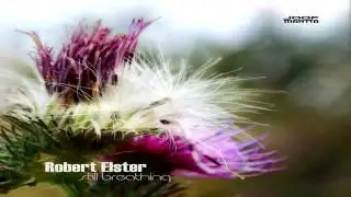 Robert Elster - Deanimation