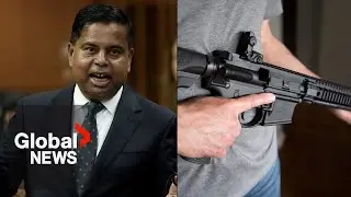 Leaked audio hears Canada&rsquo;s public safety minister questioning gun buyback program
