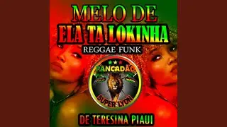 Melo de ela ta lokinha reggae funk