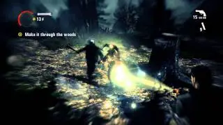 Alan Wake - Playthrough Episode 8 : Chase in the Woods