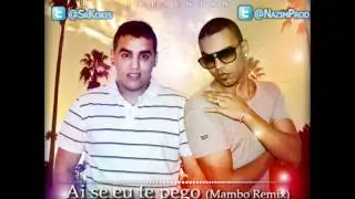 Sr Kokis & Nazim- ai se eu te pego (mambo remix)