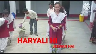 MS MEMORIAL ACADEMY KOTHI GAYA #BIHAR #bihardiwas2023 #HARYALI