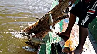 Pesca con Atarraya en el río Banadias Arauca