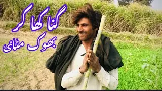 Ghanna khaa kar bhook mitai💪🫢🤗👏گنا کھا کر بھوک مٹائ 