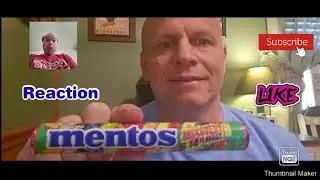 Reaction to New Mentos Discovery 14 Flavors