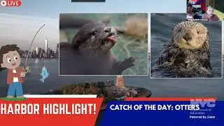 Harbor News Morning Show 10/24/25