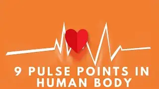 9 Pulse Points In Human Body |  Pulse Assessment