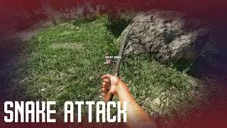 Stranded Deep: SNAKE ATTACK