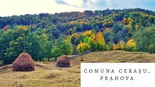 🇷🇴 Comuna Cerașu, Prahova