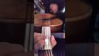Daisy Sanchez - Mi Querido Viejo