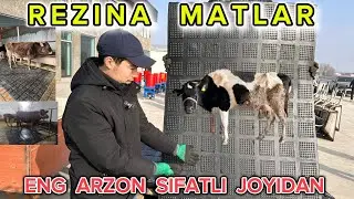 REZINA . MOLLAR TAGIGA REZINA MATLAR YETIB KELDI 