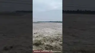 Sharda nadi location is Nepal border #winter #lifestyle #animals #video #hjf #bengal #winter #live