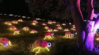 LIGHTSCAPES (WALK-THRU 2016) Derek Gee