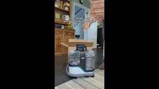 Stair cleaning with SpotWash Max Pet-Design