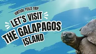 Exploring the Weird and Wonderful Wildlife of the Gal&aacute;pagos Islands
