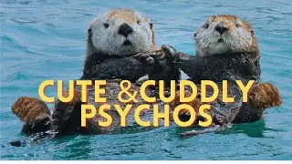 Why Otters are the Psychos of the water kingdom