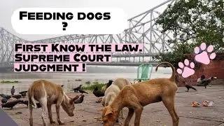 SUPREME COURT STAYS BOMBAY HIGH COURT ORDER WHICH  BANS FEEDING OF STRAY DOGS AT PUBLIC PLACES ||