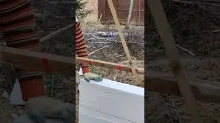 22 января 2026 г.