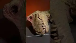 Dead T-rex - Dinosaur museum, Sydney, Australia