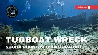 Diving the Tugboat Wreck Dive Site in Cura&ccedil;ao: 4K Scuba Diving at Tugboat Beach