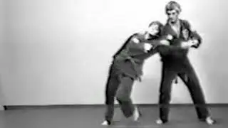 American Kenpo Wings of Silk