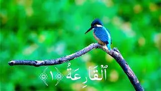 Surah Tul Qariah Talawt Quran Pak 
