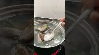 #boiling #greenshell #mussels #musselsoup
