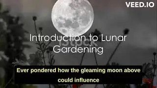 Moon Gardening