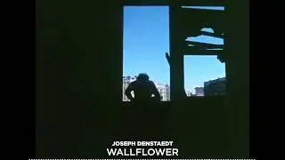 Joseph Denstaedt - Wallflower