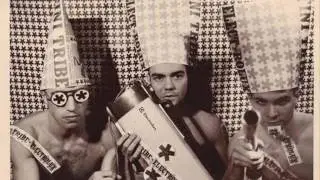 Fini Tribe - Detestimony C