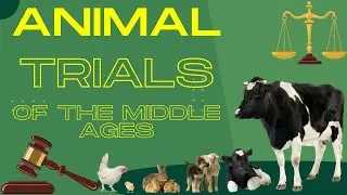 Animals In Court During the Middle Ages - Animal Trials - The Human Mystery