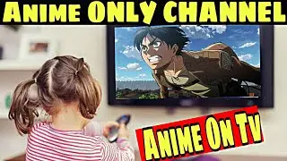 Anime Only TV Channel In India|Why We Can't Get TV Channel For Anime (Hindi)