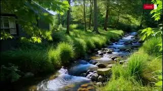 Peaceful Nature Sleep &mdash; Forest River, Babbling Brook & Soft Piano