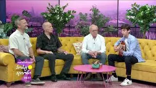 გულს რად მიკლავ .ზურაბ საკანდელიძე