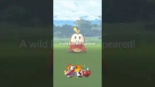 Which *PALDEAN* Starter Did You Choose? | Pokemon Go: A Paldean Adventure