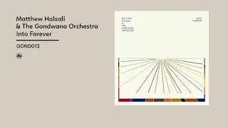 Matthew Halsall, The Gondwana Orchestra - Into Forever (Official Album Video)