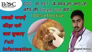 Dog  या pet में घाव (WOUND )हो जाए  तो कौन सी CREAM USE ले ?Virbac Lorexane Veterinary Cream ||