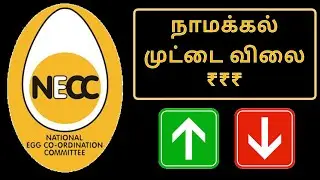 Namakkal NECC Egg Rate Tomorrow 01 October 2023