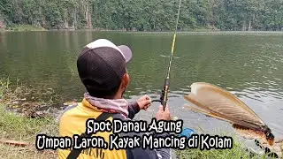 Panen Ikan Nila,, Mancig di Spot Danau Agung Umpan Laron