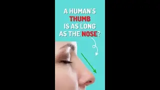 The Thumb is as long as the Nose?? #shorts