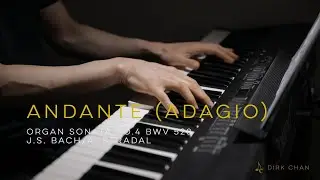 Bach Stradal Andante Adagio Organ Sonata No.4 BWV 528 in E Minor Piano &ndash; Dirk Chan