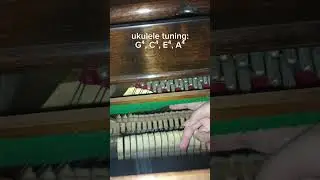 my favorite string instrument tuning with piano (part 3: ukulele) #stringinstrument #tuning #video